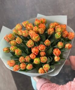 Букет з піоноподібних тюльпанів “Gaston” 51 шт