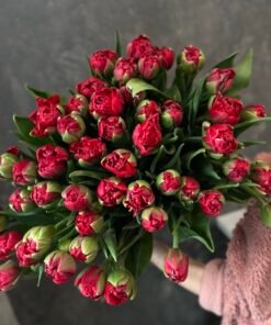 Букет з піоноподібних тюльпанів “Hattrick” 51 шт