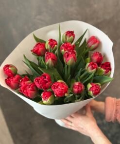Букет з піоноподібних тюльпанів “Hattrick” 19 шт