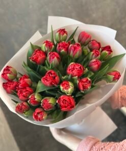 Букет з піоноподібних тюльпанів “Hattrick” 25 шт