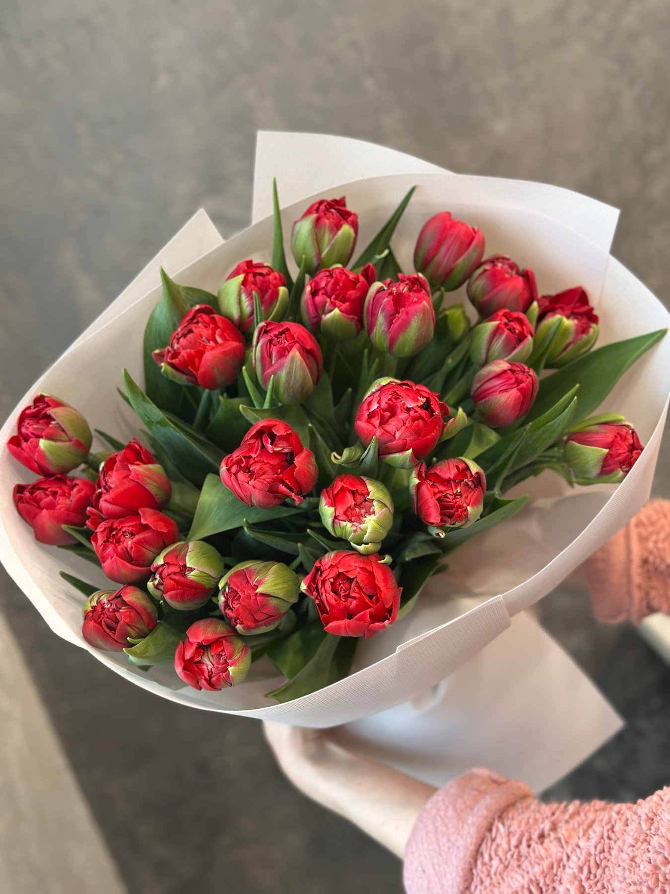 Букет з піоноподібних тюльпанів “Hattrick” 25 шт