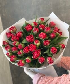 Букет з піоноподібних тюльпанів “Hattrick” 35 шт