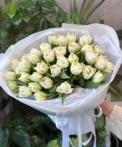 Букет з піоноподібних тюльпанів “Northcap” 35 шт