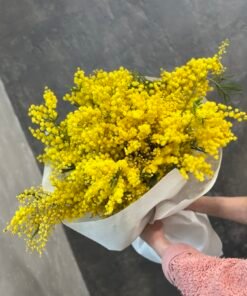 Букет Ароматної Мімози 15 гілок