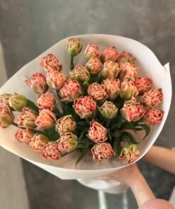 Букет з піоноподібних тюльпанів “Quinty Trustfull” 35 шт