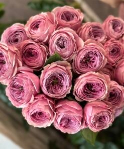 Букет з 9 або 15 піоноподібних троянд "PionyKiss"