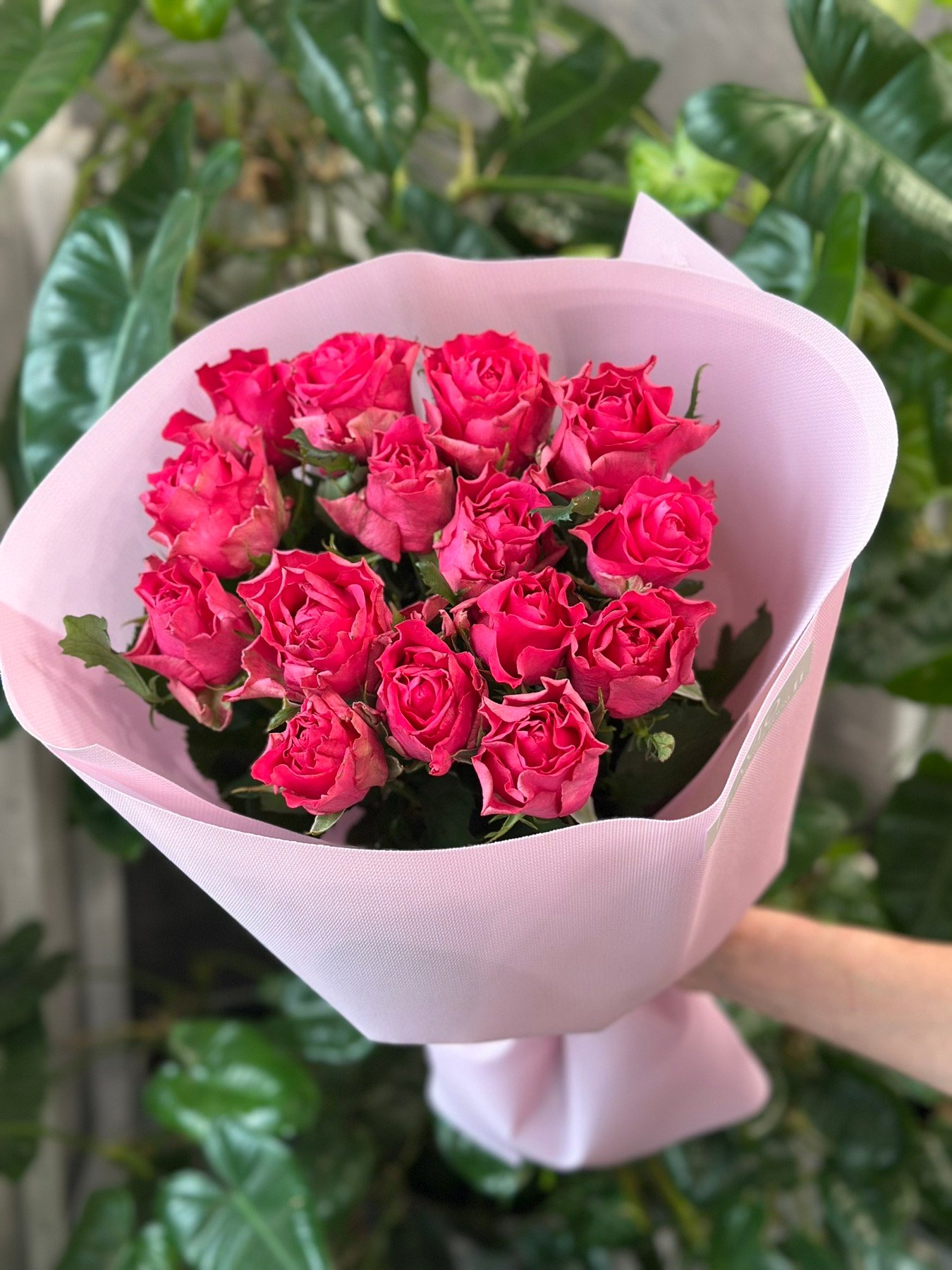 Букет з 15 малинових троянд "Roseberry" 70 см