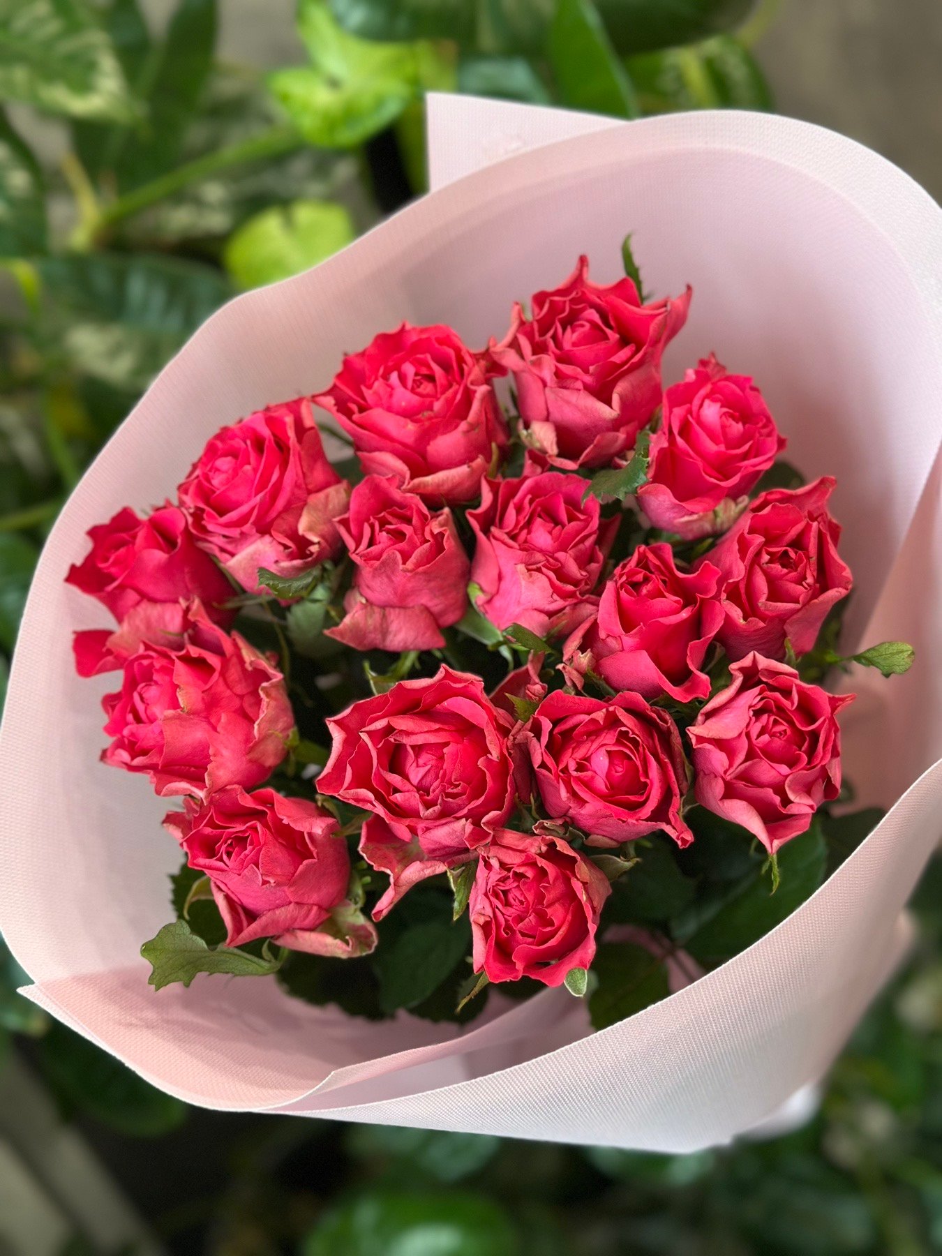 Букет з 15 малинових троянд "Roseberry" 70 см