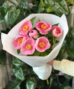 Букет з 7 півоній "Salmon Saucer"