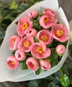 Букет з 15 півоній "Salmon Saucer"