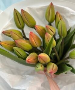 Букет з 19 Яскравих тюльпанів