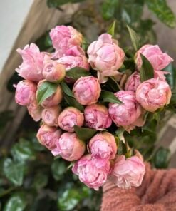 Букет з 9 або 15 Півоній "Catharina fontijn"