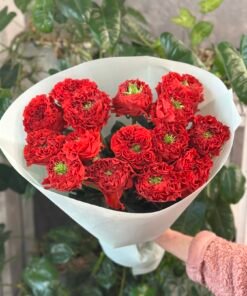 Букет з 15 або 19 піоноподібних троянд "Red Monster" Еквадор 60 см