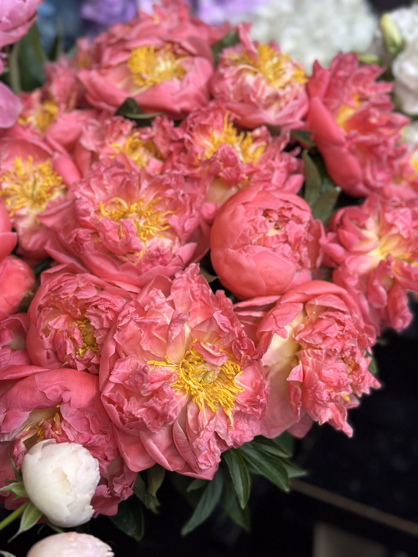 Букет з 15 або 25 півоній "Pink Hawai"