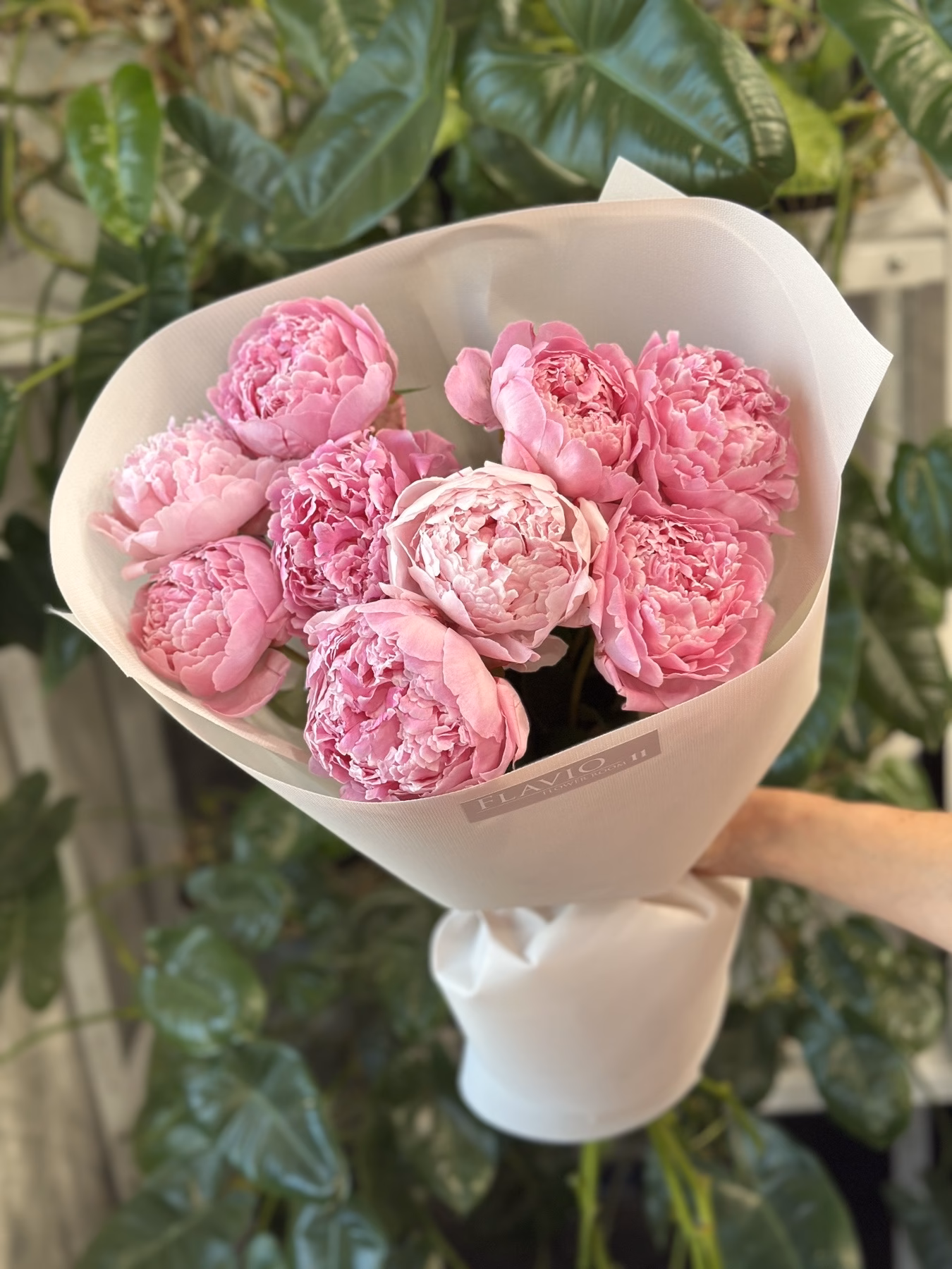 Букет з 9 рожевих півоній "Marguerite Gerard"