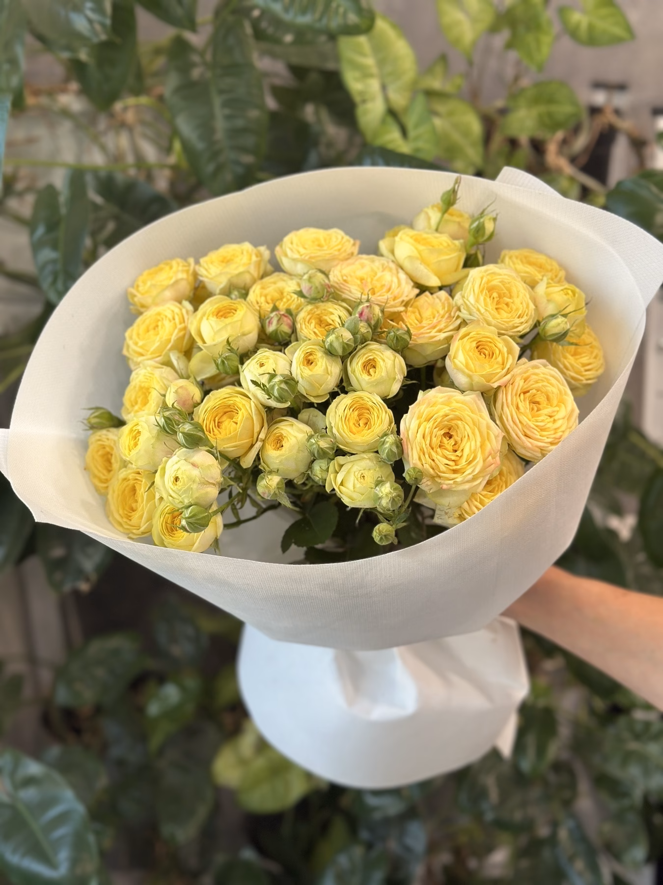 Букет 9 гілок кущових троянд "Lemon Trendsetter"